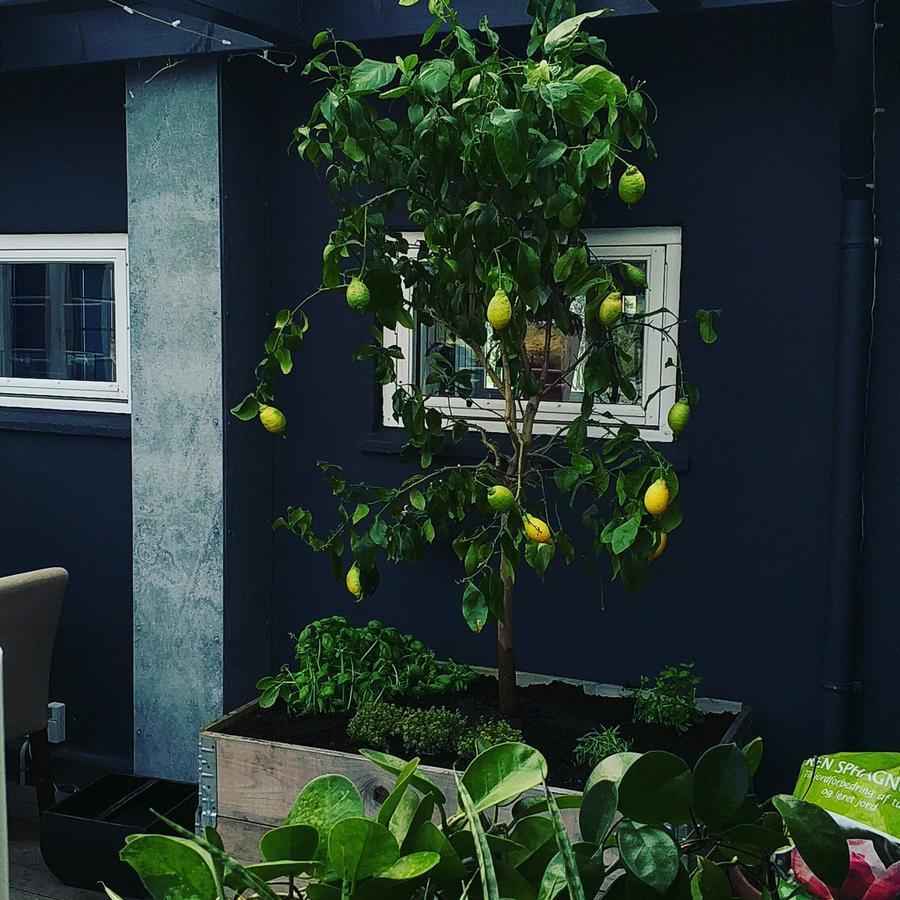 Ilse Made - Hotellet Ved Kilden Pillemark ภายนอก รูปภาพ